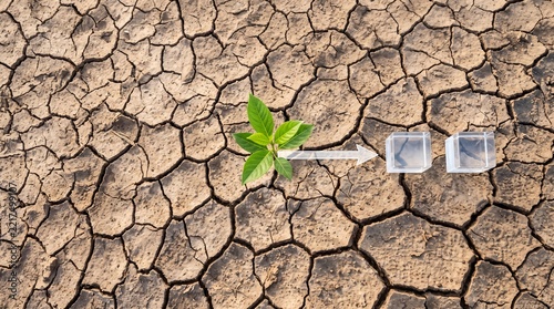 High angle view of a small green sprout growing on dry cracked soil with a white arrow pointing towards glass cubes, representing sustainable growth, hope, and environmental transformation.