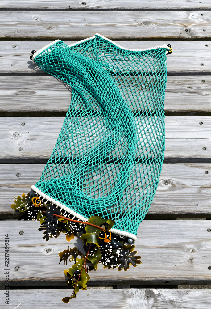 Fototapeta premium Marine pollution and ocean conservation, green fishing net with seaweed and plastic debris on wooden dock environmental waste and ecology