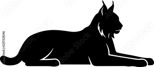 Black lynx lying down in silhouette