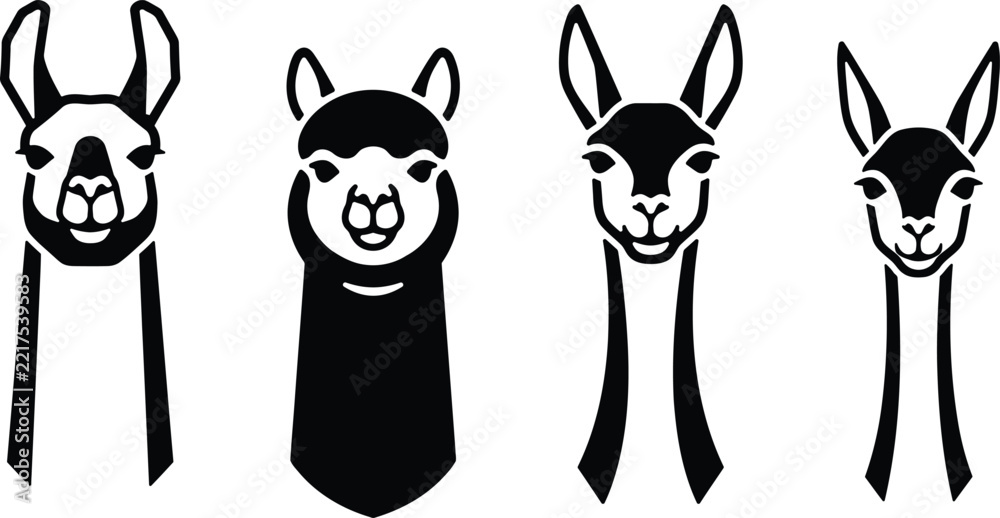 Fototapeta premium A collection of four hand drawn llama and alpaca portraits isolated on a clean white background for design projects
