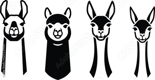 A collection of four hand drawn llama and alpaca portraits isolated on a clean white background for design projects