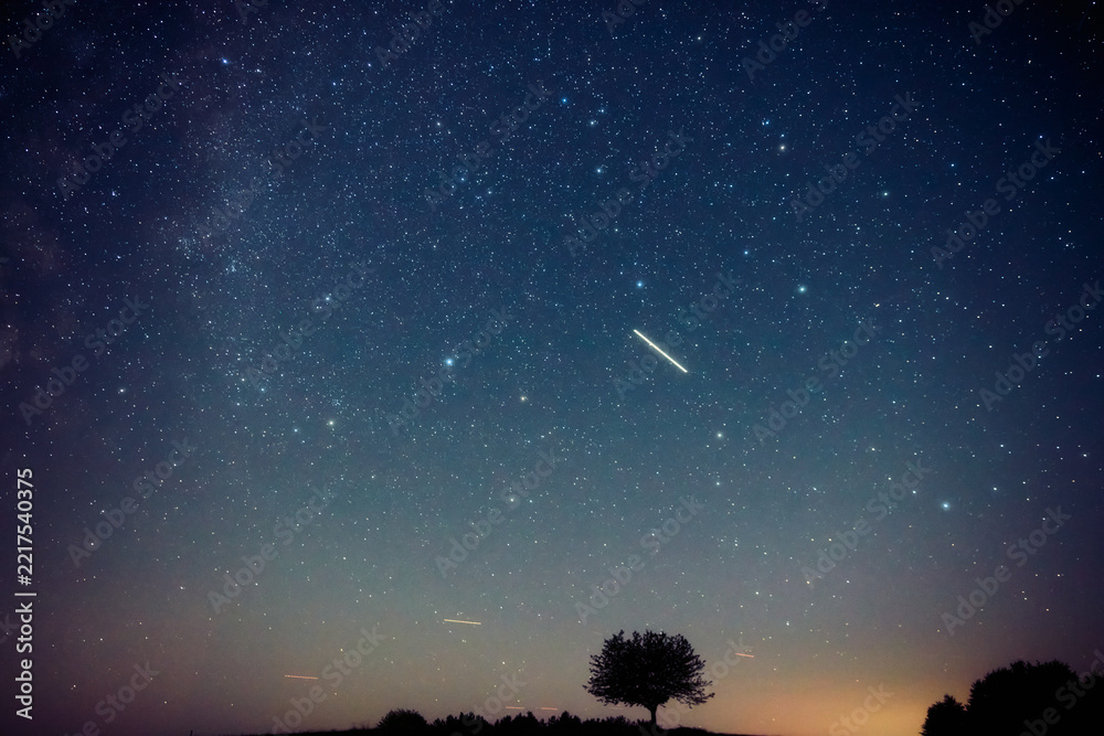 Fototapeta premium Summer Milky Way stars and landscape scenery silhouettes.