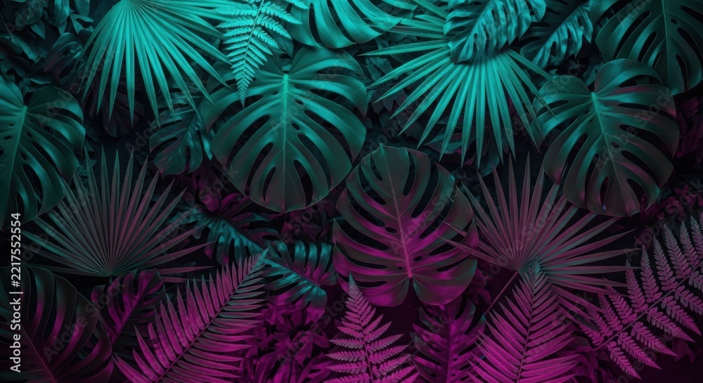 Fototapeta premium tropical monstera and fern leaves illuminated by turquoise and magenta neon light on dark botanical background