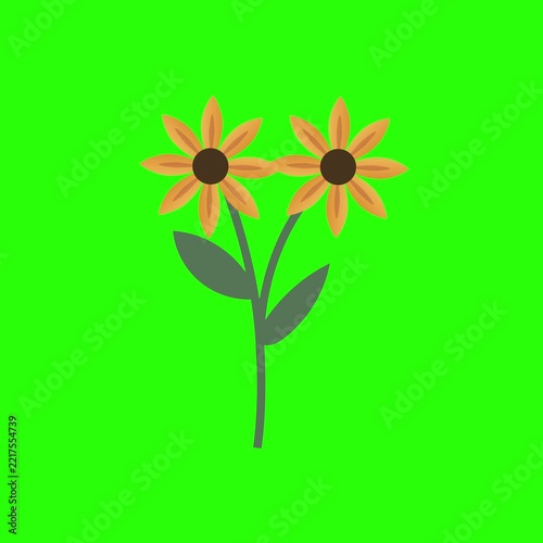 Animated Floral Stem Illustration