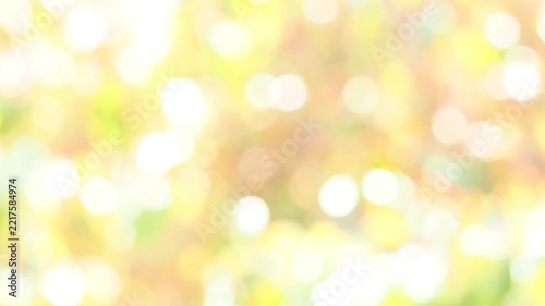 木漏れ日のわずかに揺らぐスローモーション。やわらかい光のボケ。あたたかい色合い。眩しい光。穏やかな秋の光の風景。