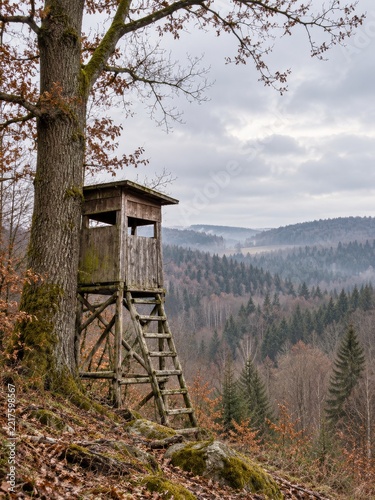 Empty Wooden Hunting Stand Beside a Mossy Tree Above a Misty Forest Valley