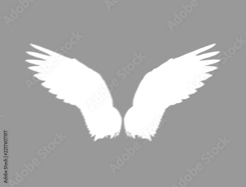 Soft shadow vignette of bird wings with transparent center cutout 