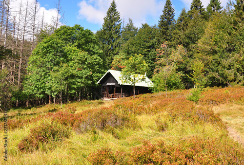 Lindberger Schachten im Nationalpark Bayerischer Wald
