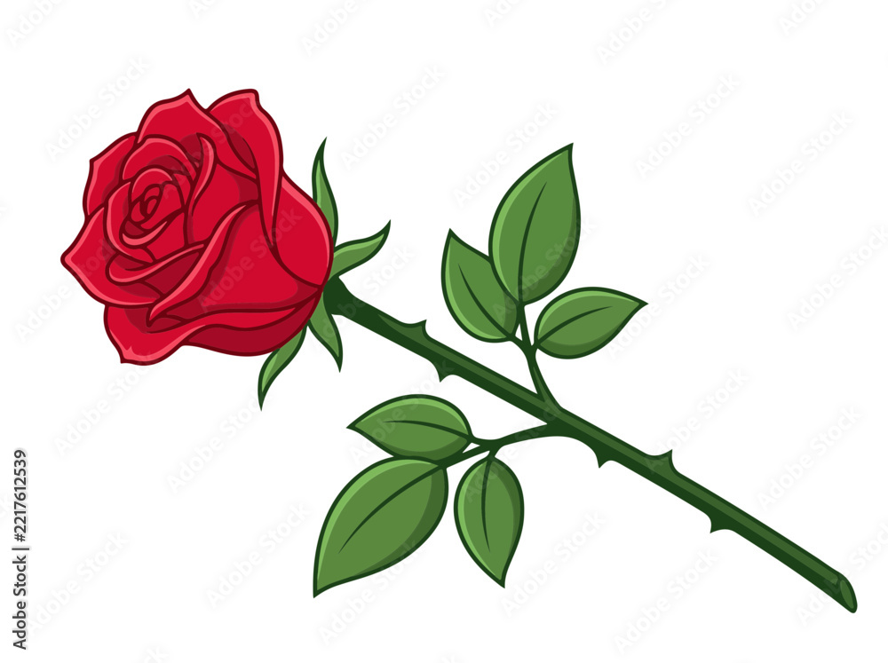 Obraz premium Single red rose flower