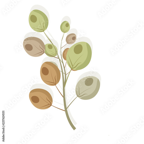 Lush branch with round leaves and berries vector illustration isolated on white background