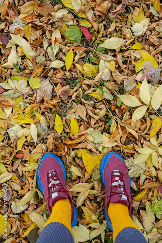 Walking shoes among fallen autumn leaves on woodland path