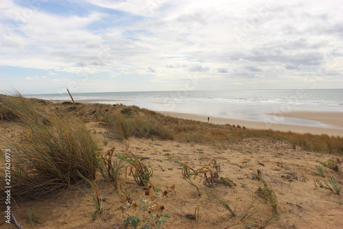 Dunes dominant la plage de sable de la Grande Pointe (Les Sables-d'Olonne, Vendée)