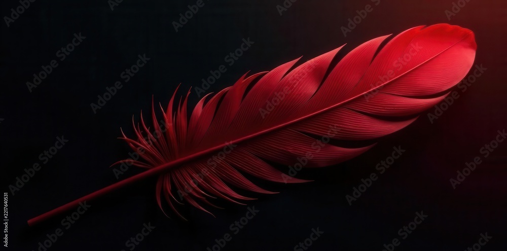 Fototapeta premium Isolated black feather on rich crimson Intriguing contrast, dramatic mood , bold, crimson