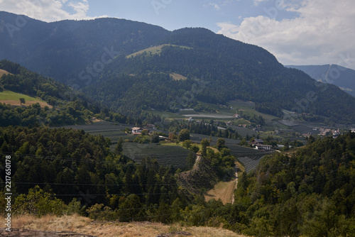 Obraz na plátně The Etschtal (Adige Valley) between Merano and Bolzano, covered by extensive areas of organic apple orchards—the region's flagship product