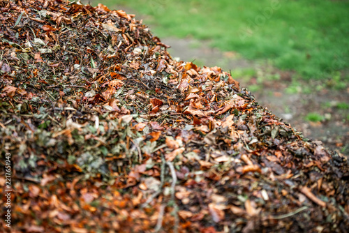 Close-up of a large pile of autumn leaves and wood mulch on a lawn with blurred green grass