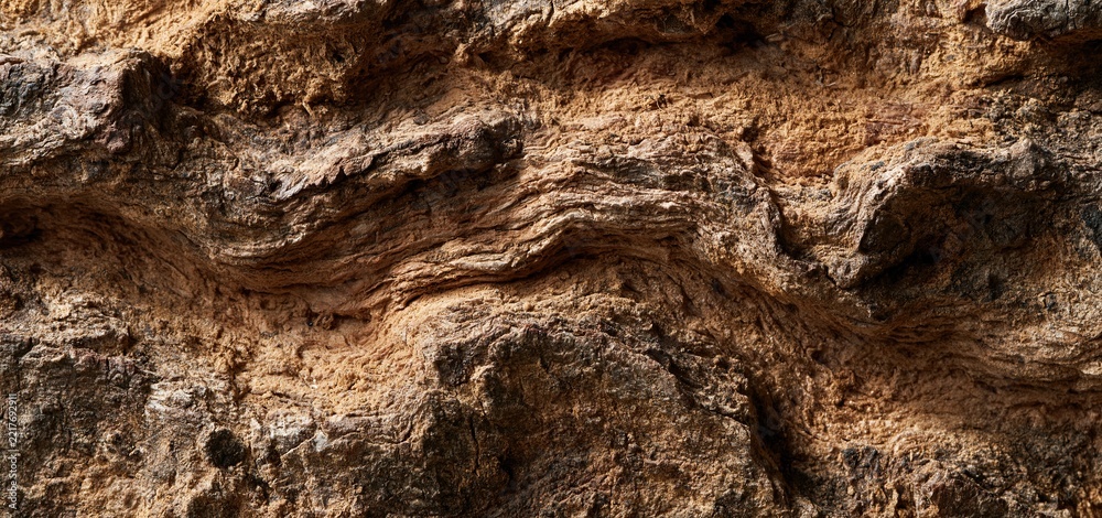 Fototapeta premium Detailed view of natural wood bark featuring complex textures and warm, earthy colors ideal for sustainable-themed designs.