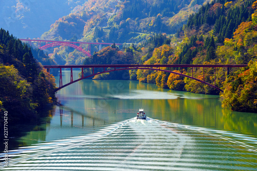 紅葉真っ盛りの中を進む庄川峡遊覧船