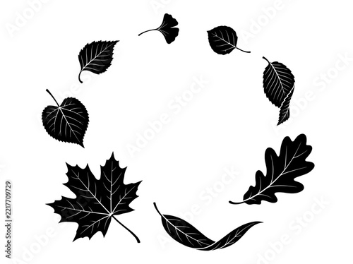 Falling Autumn Leaves Spiral Motion Black and White Vector Illustration