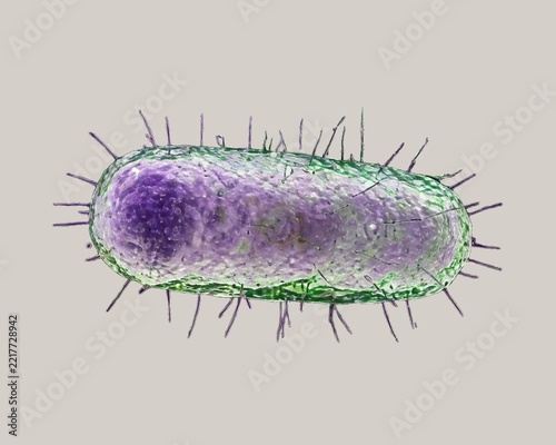Yersinia pestis is the bacterium that causes the plague.
