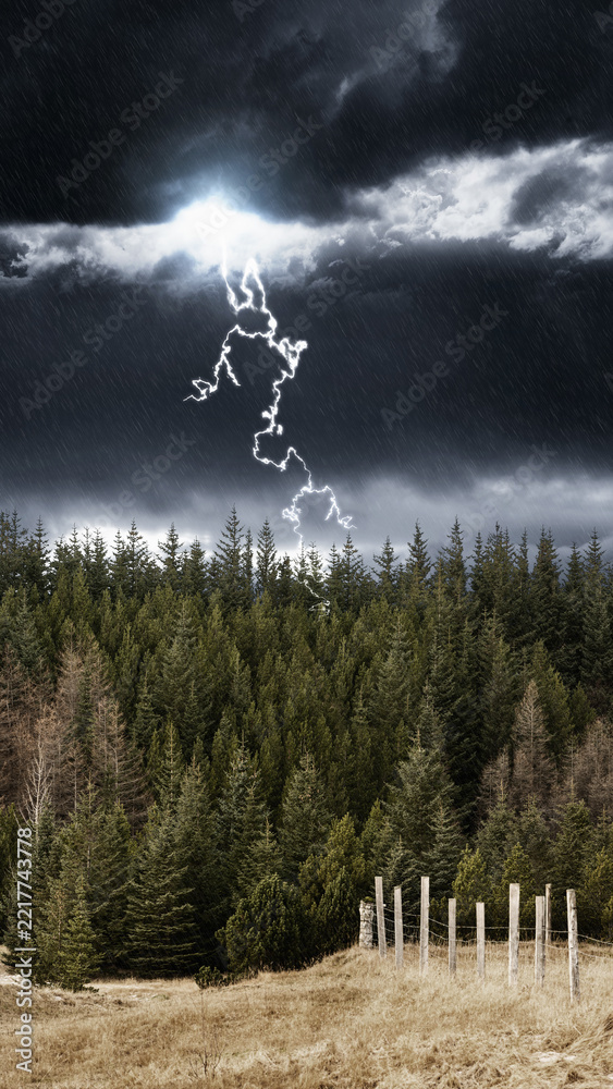 Naklejka premium Thunderstorm with a bright lightning strike flashing across dark, ominous rain clouds above a dense, green evergreen forest and a rustic wooden fence in a rural field. Storm or bad weather background