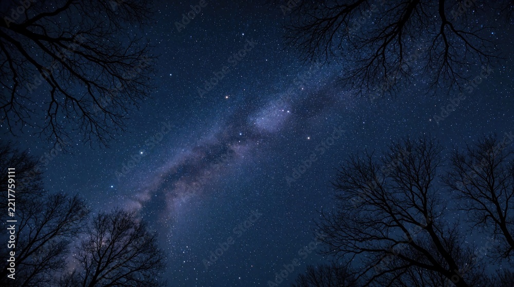 Fototapeta premium Bright Milky Way galaxy shines in deep blue night sky. Dark forest tree silhouettes frame cosmic view from below. Thousands of stars twinkle above wild woodland canopy during midnight astronomy