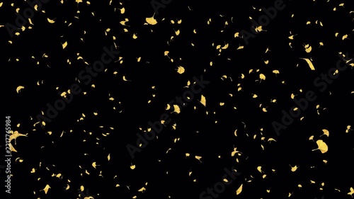 Ginkgo Leaves Falling on Transparent Alpha