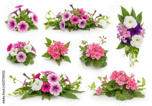 Beautiful bouquet of fresh pink and white flowers with green leaves