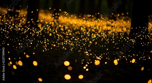 Fireflies in the forest at night.