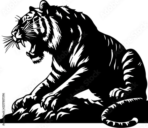tiger vector illustration