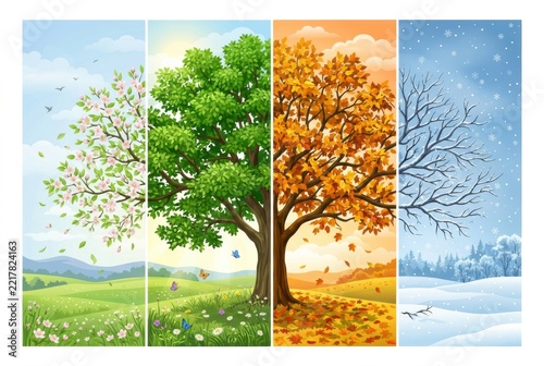 Four banners showing the four seasons with spring blossoms, summer foliage, autumn orange leaves, and winter snowfall, seasonal cycle illustration, nature landscape set
