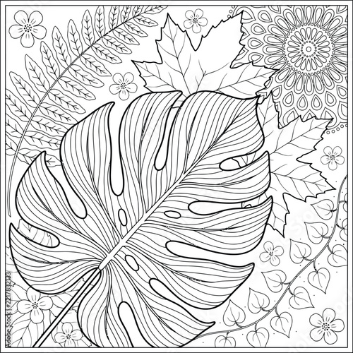Leaf coloring page showcasing tropical monstera and assorted foliage