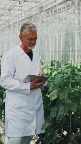 Environment is closely observed with detailed recordings of plant development patterns for accuracy. Careful plant monitoring. Precise observations ensure accurate plant development records.