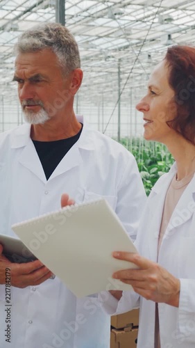 Scientists in controlled environments scrutinize vine structures and environmental parameters impacting plant health. Experts investigate environmental influences on bell pepper cultivation methods.