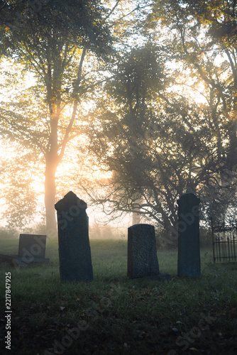 Tombstones at a graveyard on a foggy, autumn morning.