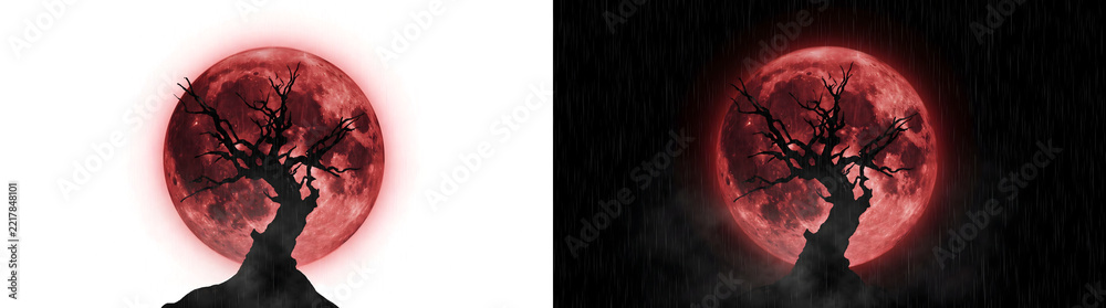 Naklejka premium Blood moon behind a dead tree silhouette on a rocky hill with rain and fog for horror art in PNG, Transparent and Black Background Versions