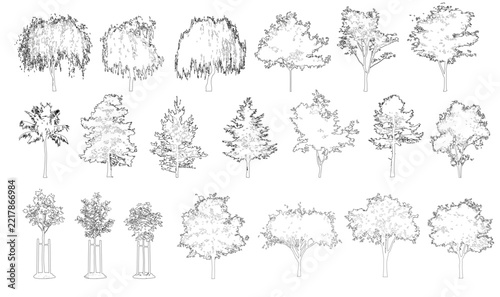 Pack of vector trees in elevation view for use in architectural drawings isolated on transparent background	
