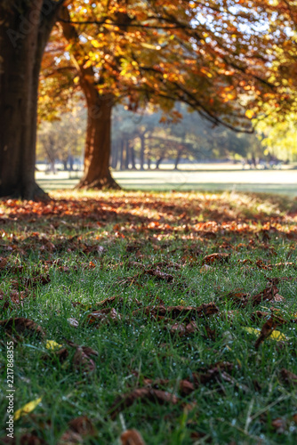 Herbst beginn