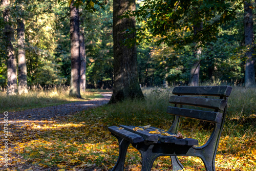 Herbstlicher Sitzplatz