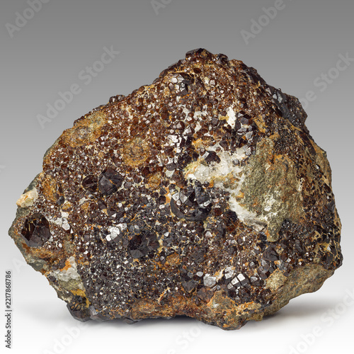 Garnet crystals found in skarn formation showing distinct shapes and textures under clear lighting