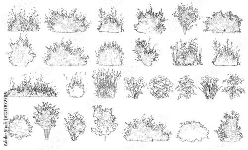 Vector pack of shrubs and bushes in elevation view for use in architectural drawings	