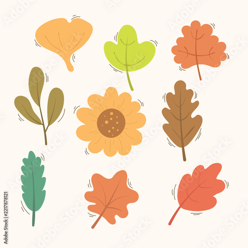 Autumn leaves and flower vector set, cute fall botanical elements illustration isolated
