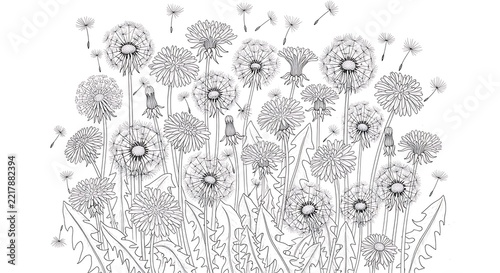 A dense cluster of dandelions in various stages of bloom