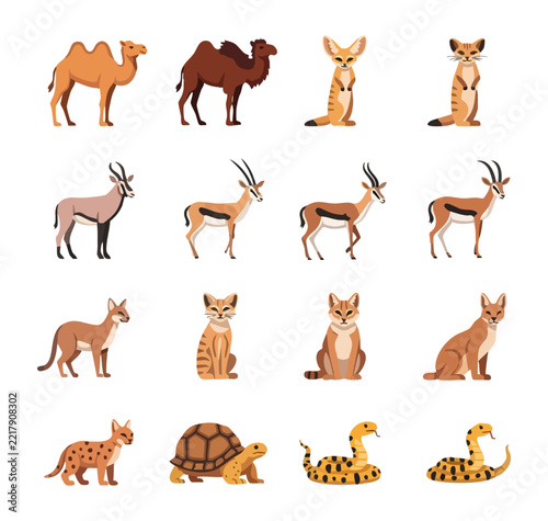 Collection of desert animals and wildlife illustrations in flat design