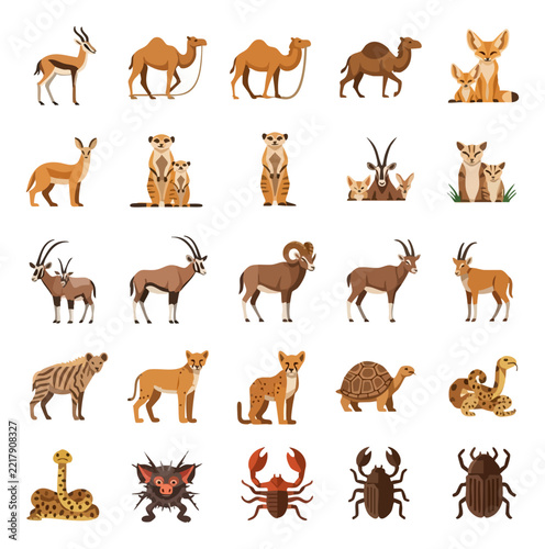 Collection of desert wildlife and creatures isolated on white background