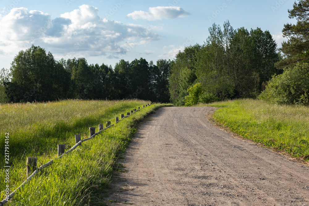 Naklejka premium An empty country road winds through grassy fields and trees beneath a bright blue summer sky with scattered clouds on a sunny day