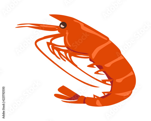 エビの煮付けのイラスト