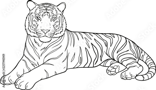 Tiger line drawing of a majestic feline resting in classic profile