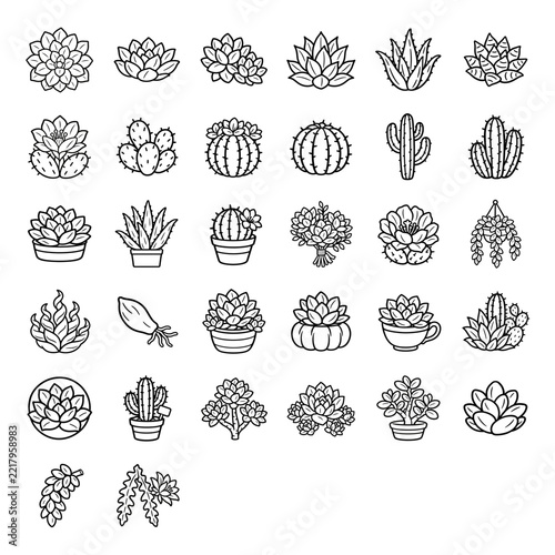 Line Art Succulent and Cactus Icon Set for Garden Shop Website