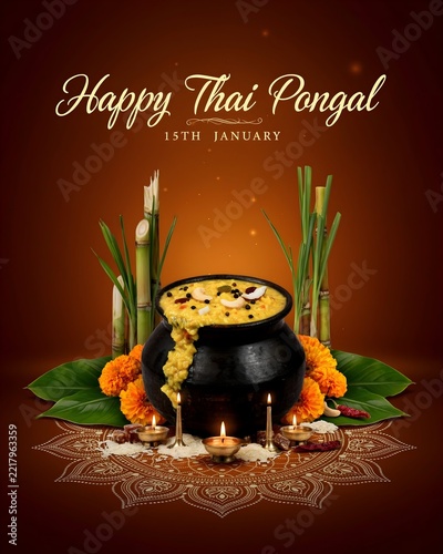Thai Pongal Harvest Festival Celebration with Sugarcane, Kolam and Traditional Pot