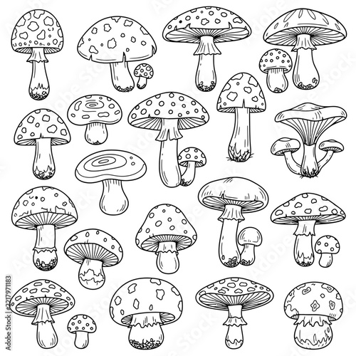 Set of black and white line art mushroom illustrations in various shapes and sizes for coloring